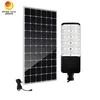 Yüksek Performanslı Her Hava Durumuna Dirençli 100W LED Güneş Sokak Işığı